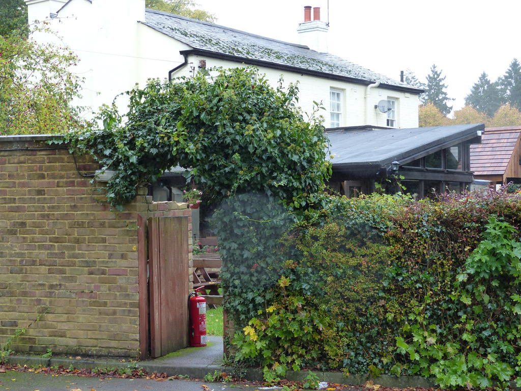 The Sun Inn Englefield Green Eksteriør bilde